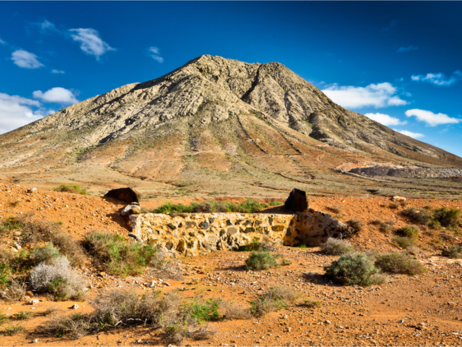 Natuurreis Fuerteventura