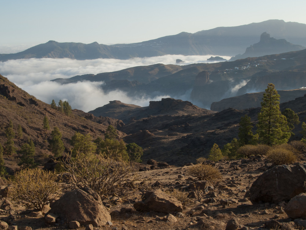 Nublo Rural Park