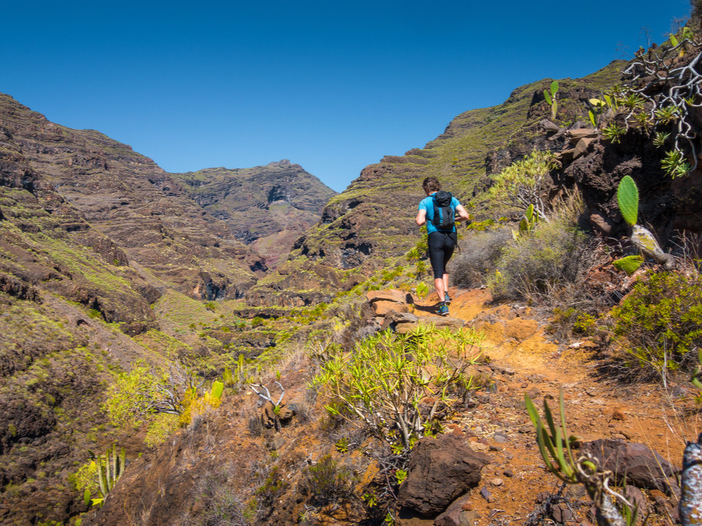 Natuur op La Palma