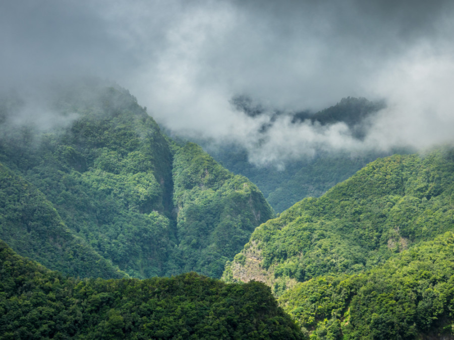 Natuur op La Palma