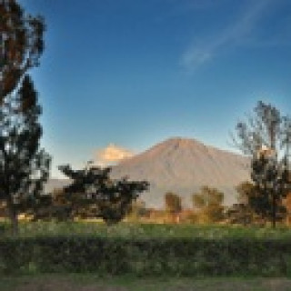 Afbeelding voor Explore Tanzania - Arusha