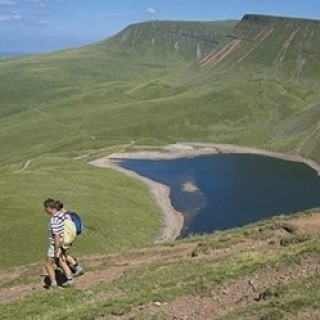 Afbeelding voor SNP - Natuurreizen Verenigd Koninkrijk