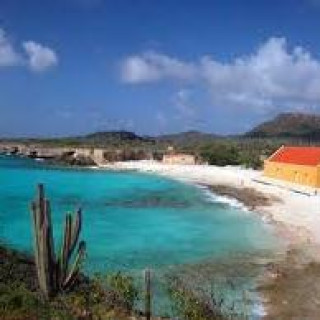 Afbeelding voor TUI - Bonaire vakantie