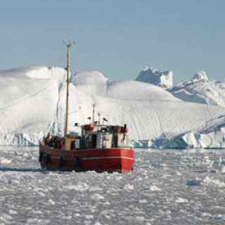 Afbeelding voor Beluga - Reizen Groenland
