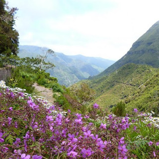 Afbeelding voor Sawadee - Wandelreis Madeira