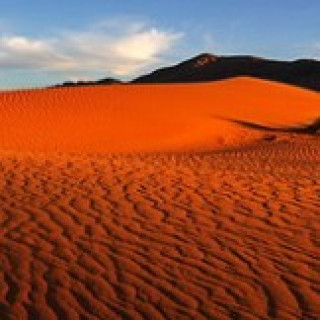 Afbeelding voor PANGEA Travel -  Natuurreis Namibië