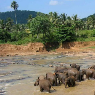 Afbeelding voor Vamonos - Sri Lanka op maat