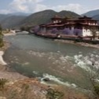 Afbeelding voor SNP - Natuurreizen Bhutan