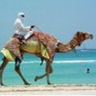 Afbeelding voor PANGEA Travel - Dubai combireizen