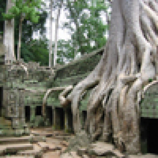 Afbeelding voor Van Verre - Cambodja op maat