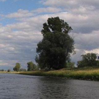 Afbeelding voor ANWB - Fietsvakantie langs de Elbe