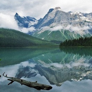 Afbeelding voor SNP - Natuurreizen Noord-Amerika