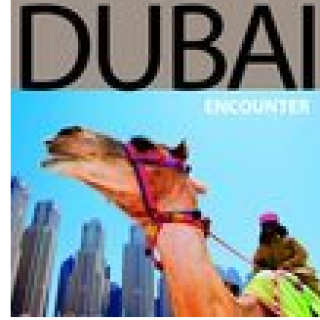 Afbeelding voor Bol.com - Reisgids Dubai en de Emiraten