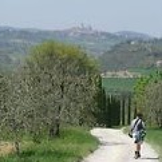 Afbeelding voor STAP Reizen - Wandelen in Toscane