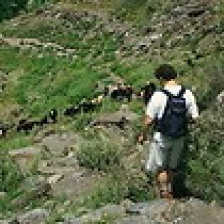 Afbeelding voor STAP Reizen - Wandelen in de Alpujarras