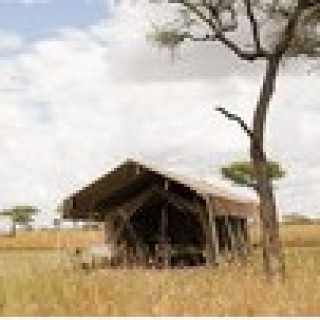 Afbeelding voor PANGEA Travel - Serengeti