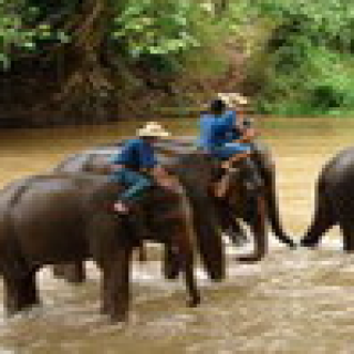 Afbeelding voor PANGEA - Unieke reizen in Noord-Thailand