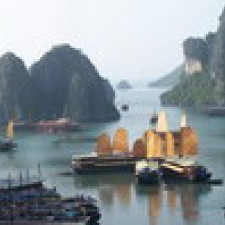 Afbeelding voor PANGEA Travel - Vietnam & Halong Bay