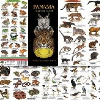 Afbeelding voor TIP - Field Guides Panama