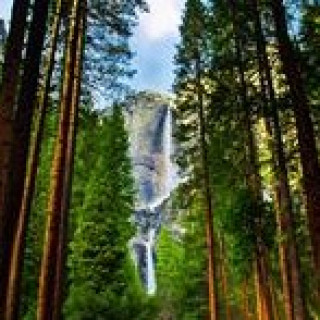 Afbeelding voor TUI - Rondreis Yosemite
