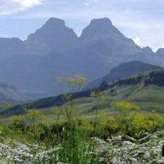 Afbeelding voor SNP - Wandelreis Drakensbergen