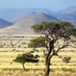 Afbeelding voor Sawadee - Rondreis langs Namibwoestijn