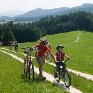 Afbeelding voor SNP - Met kinderen naar Tirol