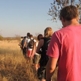 Afbeelding voor Riksja Zuid-Afrika - Walking safari
