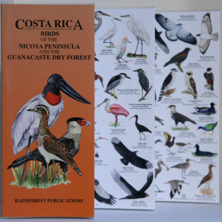 Afbeelding voor Vogelgids - Guanacaste en Nicoya