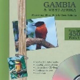 Afbeelding voor De Zwerver - Vogelgidsen Gambia