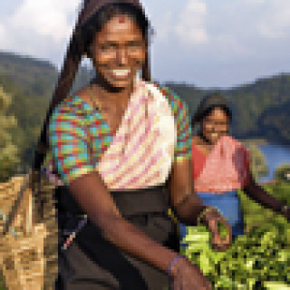 Afbeelding voor Singha Reizen - Sri Lanka on a Budget