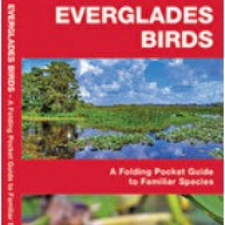 Afbeelding voor TIP - Natuurgidsen Everglades