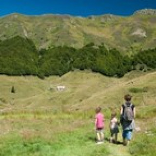 Afbeelding voor SNP - Fietsen en wandelen Auvergne