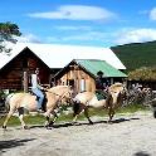 Afbeelding voor Booking.com - Paardrijden in Grimsbu