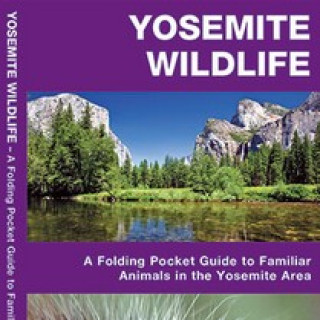 Afbeelding voor TIP - Veldgids Yosemite