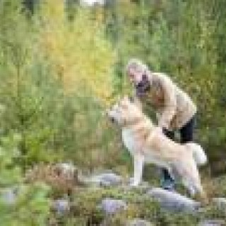 Afbeelding voor Buro Scanbrit - Scandinavië met hond