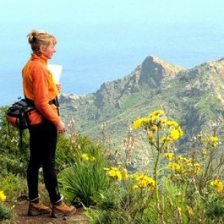 Afbeelding voor SNP - Wandelvakantie Tenerife