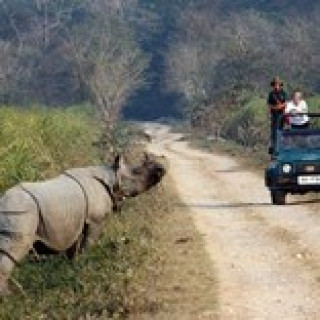 Afbeelding voor SNP - Natuurreizen India