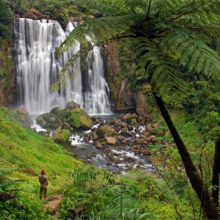Afbeelding voor Watervallen in Nieuw-Zeeland