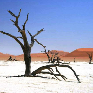 Afbeelding voor Bezienswaardigheden Namibië