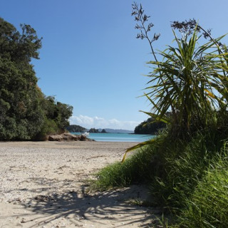 Afbeelding voor Stranden in Nieuw-Zeeland