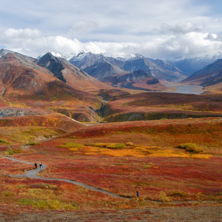 Afbeelding voor Alaska