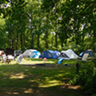 Afbeelding voor Allcamps - Familiecampings in Nederland