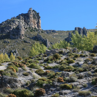 Afbeelding voor Andalusië