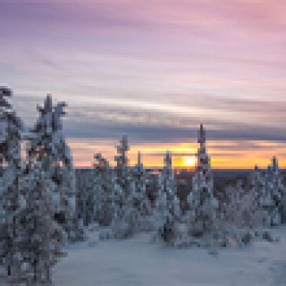 Afbeelding voor ANWB - Winterreis Lapland