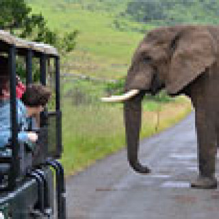 Afbeelding voor ANWB - Zuid-Afrika rondreizen