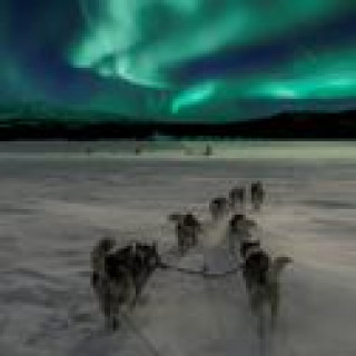Afbeelding voor Arctic Adventure Expedities - Sleehondentocht