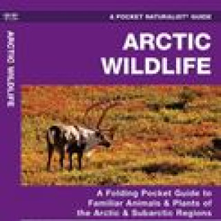 Afbeelding voor Natuurgidsjes - Dieren in Arctische gebieden