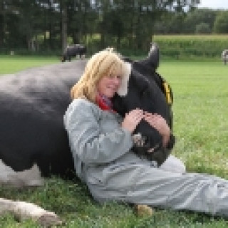 Afbeelding voor Belevenissen.nl - Knuffelen met een koe