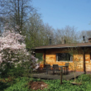 Afbeelding voor Natuurhuisje - Scandinavische hut met sauna